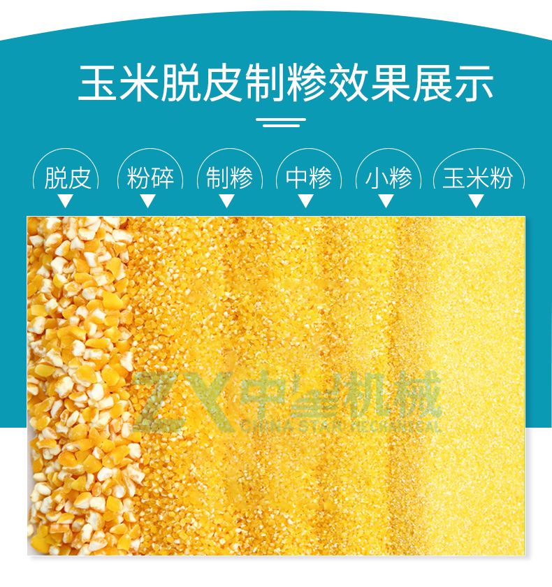T1型玉米脫皮制糝機(jī)詳情頁水印_05.jpg