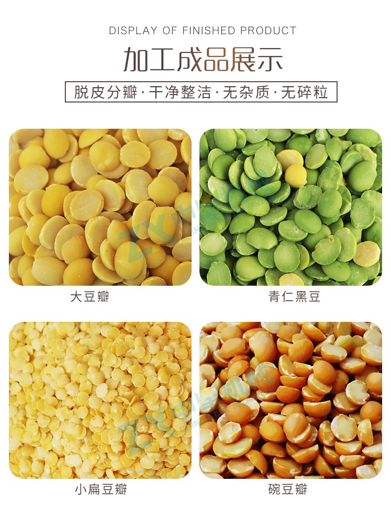 日產12噸大豆脫皮分瓣成套設備_07.jpg