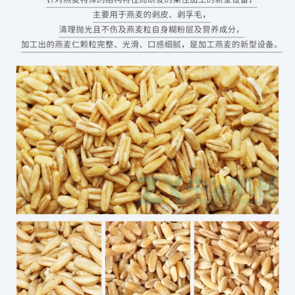 新型燕麥脫皮機