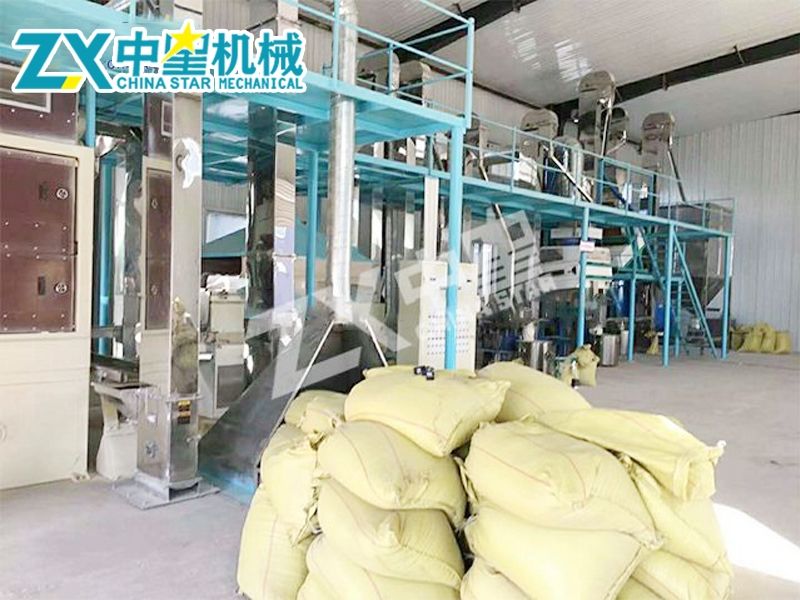 日產(chǎn)24噸不銹鋼藜麥成套設備