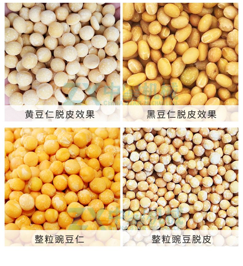 S18多功能大豆脫皮機_11.jpg